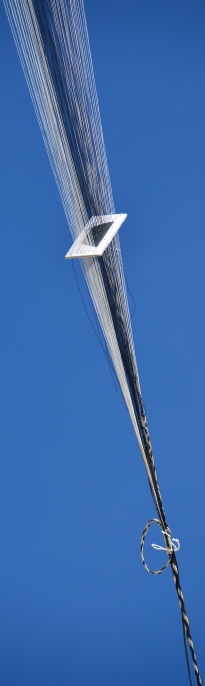 Auf den Punkt gebracht